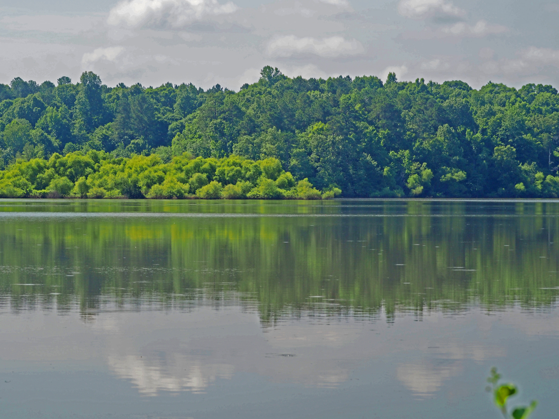 Jordan Lake at the NC 751 Bridge